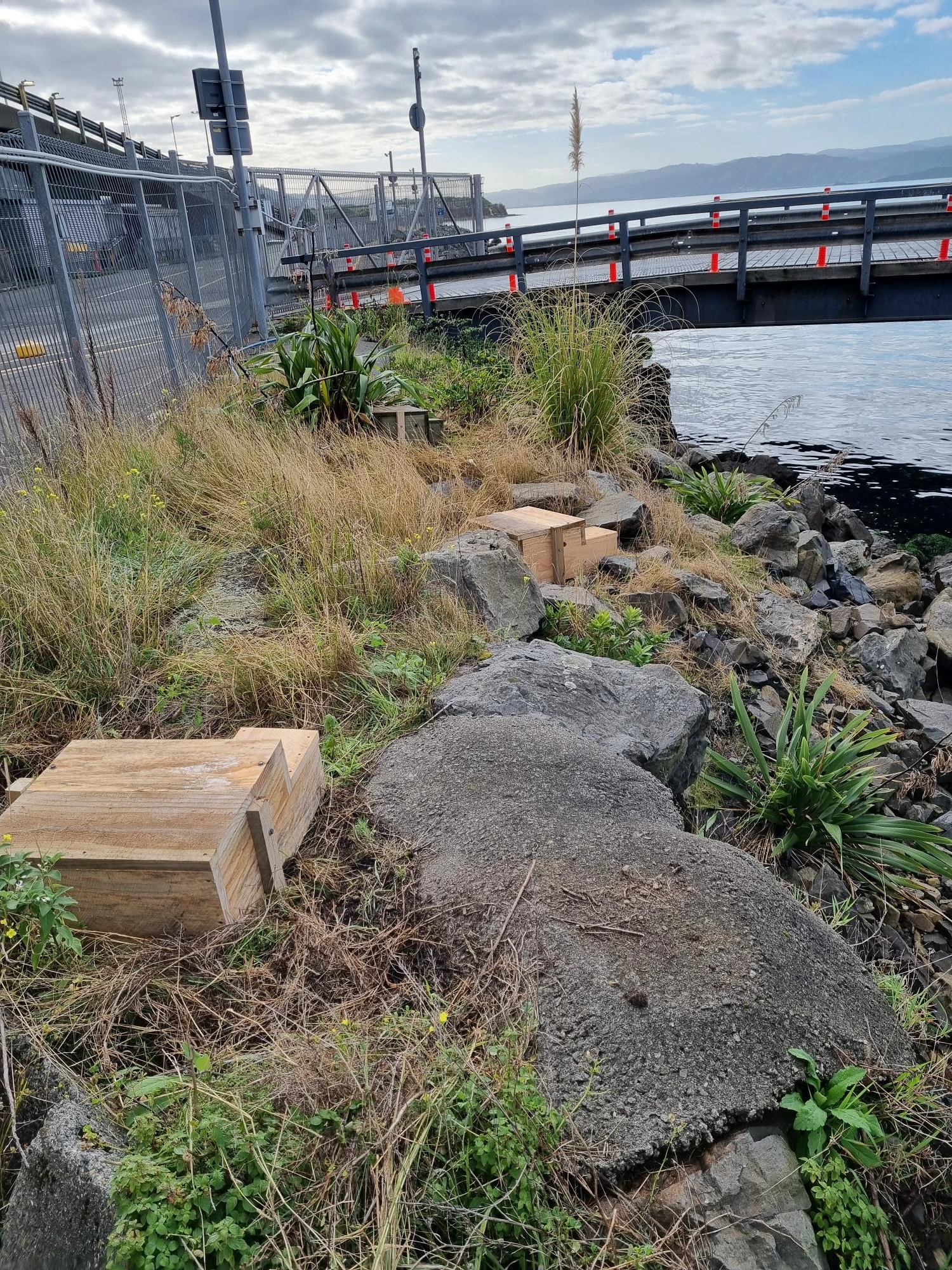 Korora boxes at RFT   June 2026